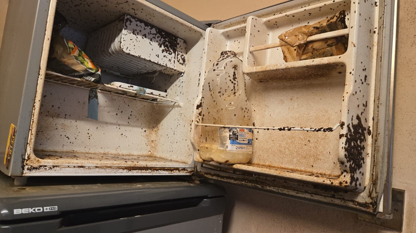 Fridge before cleaning